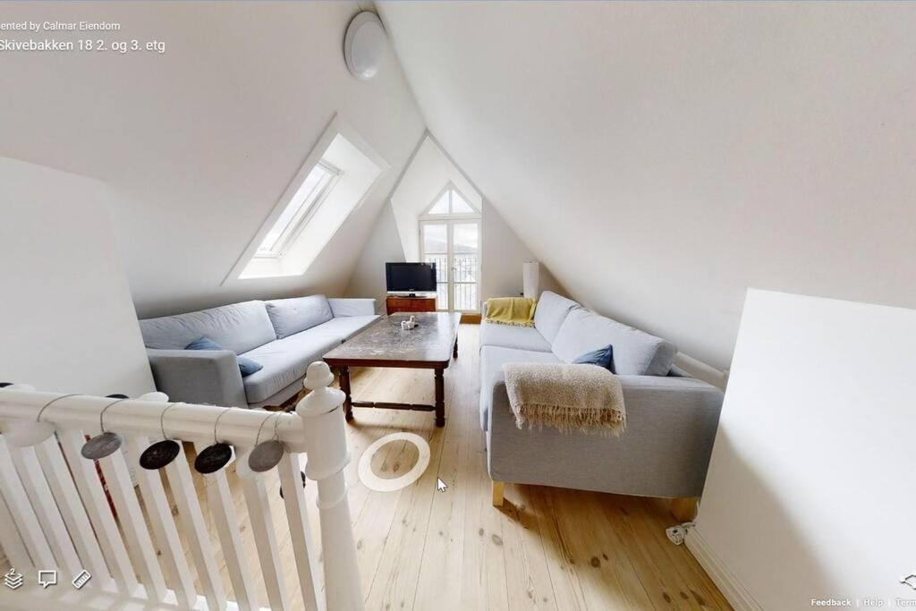 Modern, Spacious And Cozy In The City Center Of Bergen! Extérieur photo